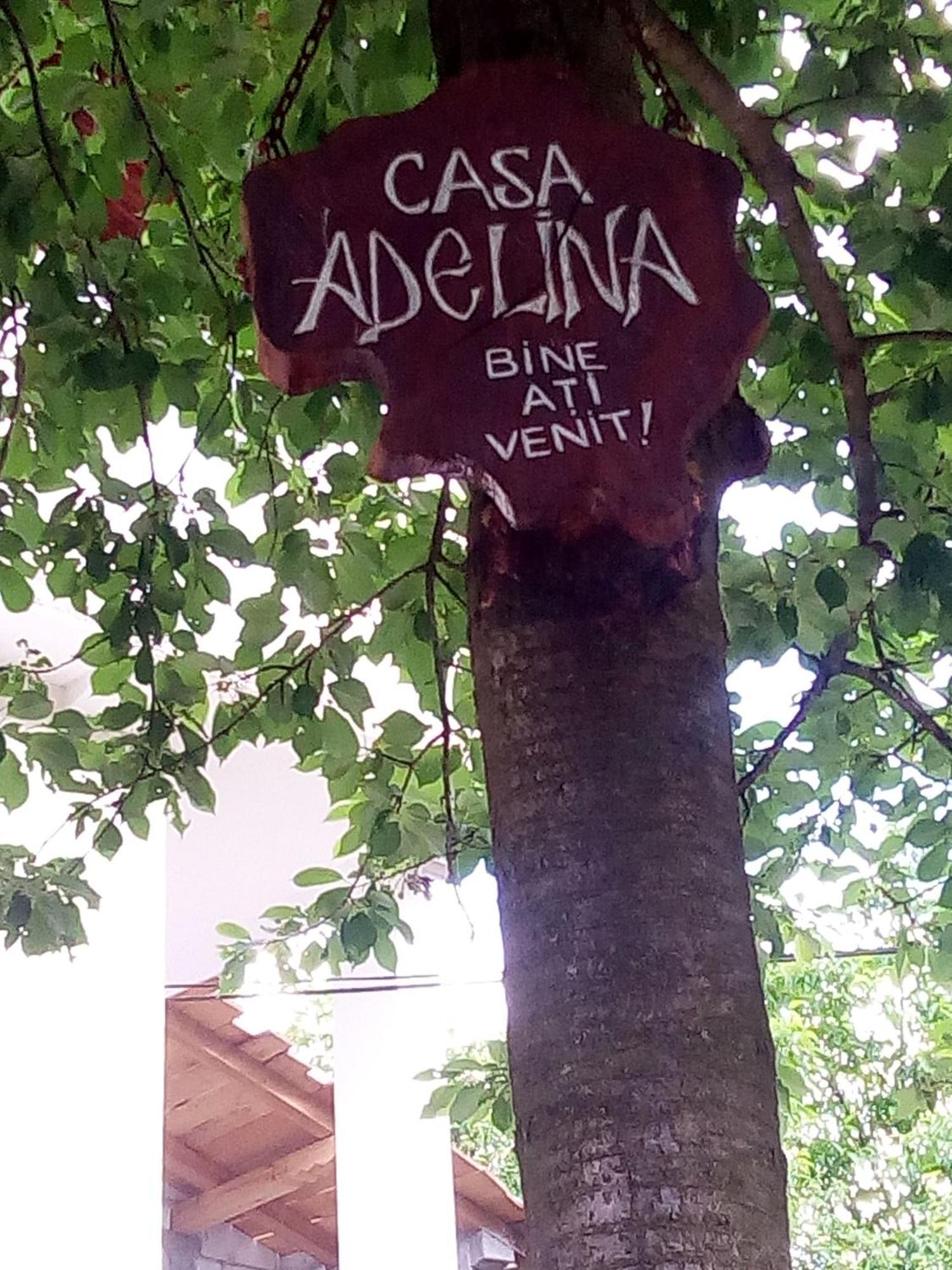 Casa Adelina Hotel Băile Herculane Exterior foto