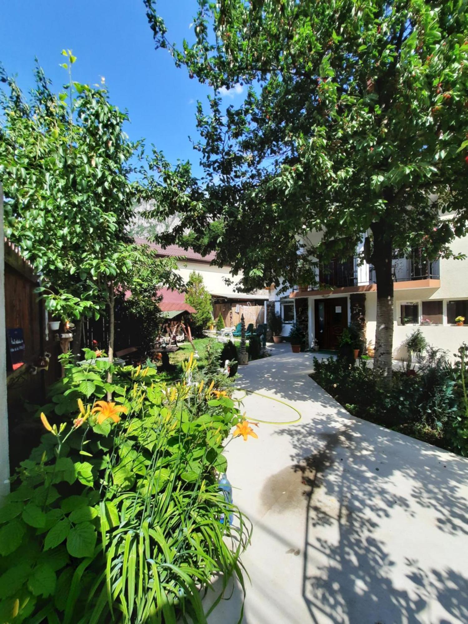 Casa Adelina Hotel Băile Herculane Cameră foto