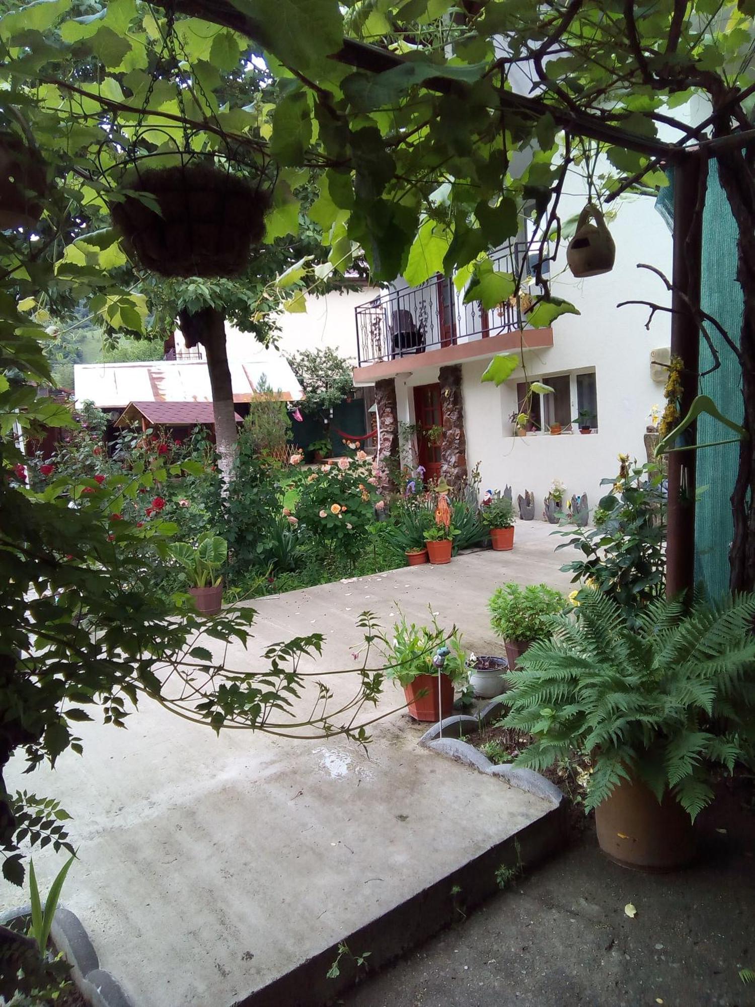 Casa Adelina Hotel Băile Herculane Exterior foto